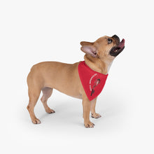 Load image into Gallery viewer, Pet Bandana